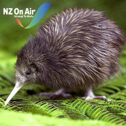 New Zealand Music Show 23-01-18