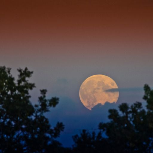 Moon Music - Musics of the World 04/10/2020 WXUT (Mix)