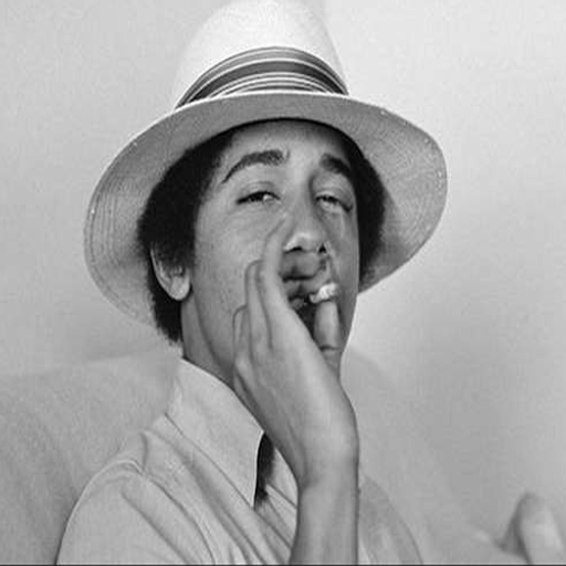 A Tokers Delight Vol.10