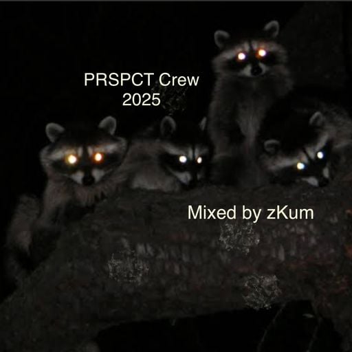 PRSPCT Crew 2025