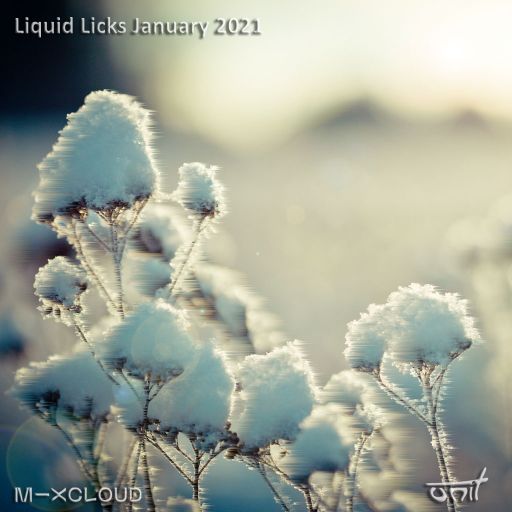 Liquid Licks - January 2021