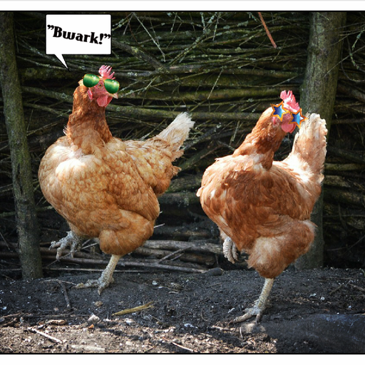 DJ Honeypot - Hen House Mix