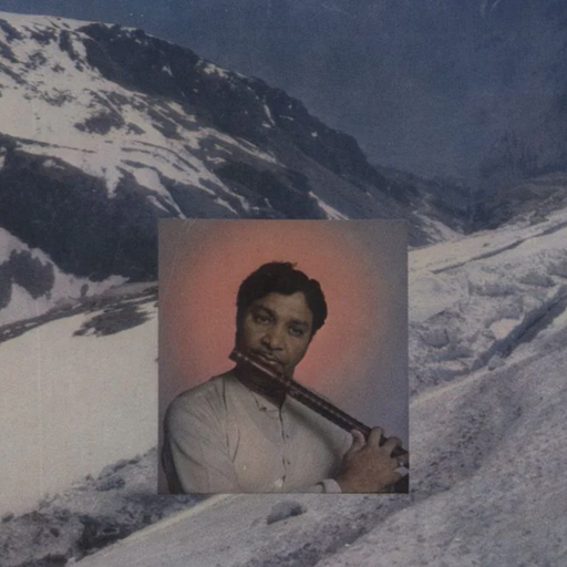 Explorations w/ Digging In India (For Andre 3000 - Indian Wind Instrument Sp... - 19th February 2025