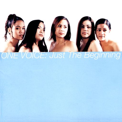 One Voice: Just The Beginning