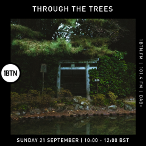 Through The Tree's w Ty - 21.09.25