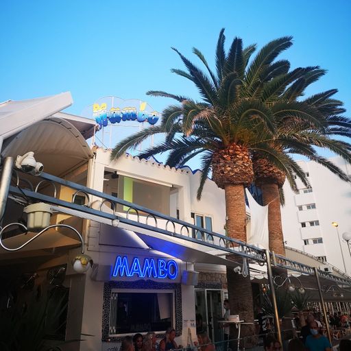 Café Mambo Radio Ibiza - House Trained Show Episode 80 (08/04/22)