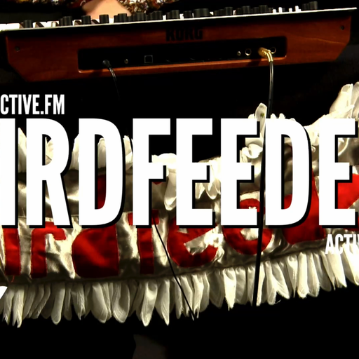 Active Live: Birdfeeder
