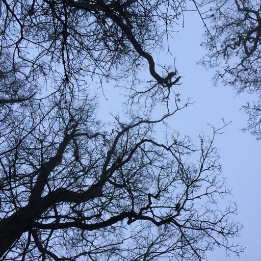 Poly Presents Tempo Society w/ Theo G - 08/12/24 - Voices Radio