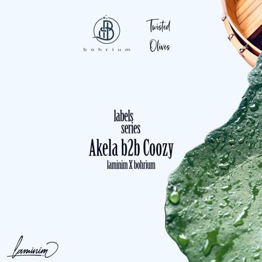 Akela b2b Coozy | laminim x Bohrium
