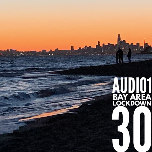 BAY AREA LOCKDOWN 30