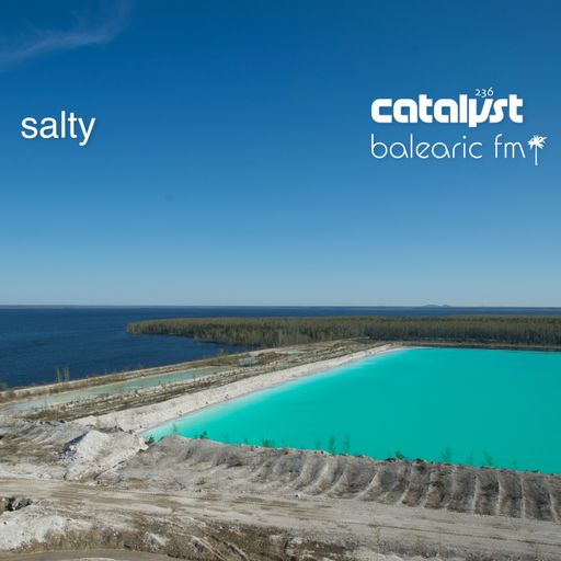 salty (catalyst, 236)