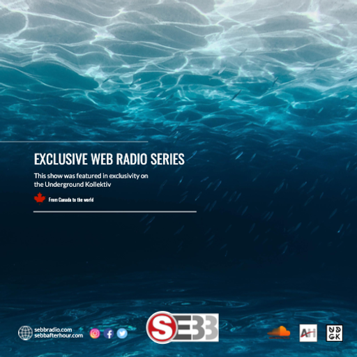 SEBB - EXCLUSIVE Web radio series (SEBB deep melodic house mix)) (UDGK: 14/08/2021)