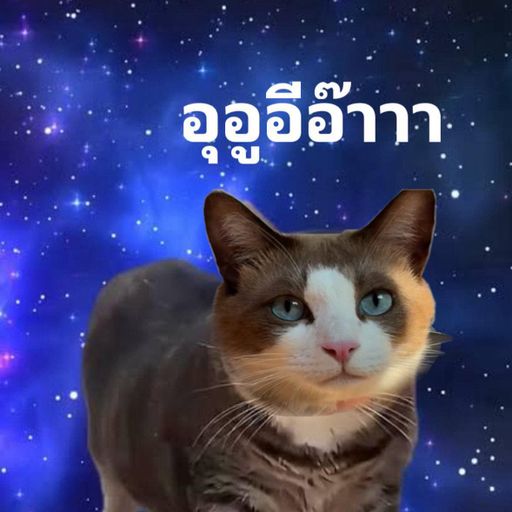 OIIA OIIA PARTY 2025 #EDM-By Praewmeow