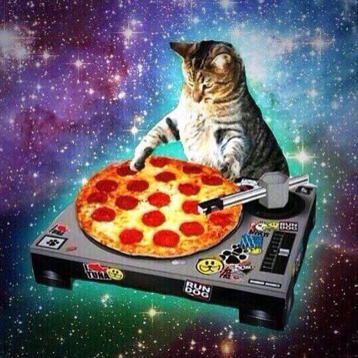 Earth & Space - Space Cat