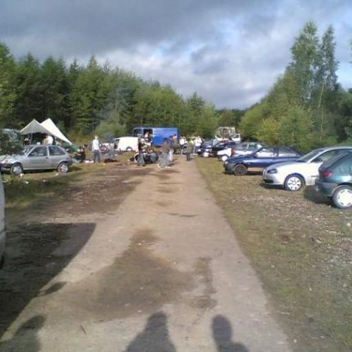 Goatdogs Hayfever Ravefever#2