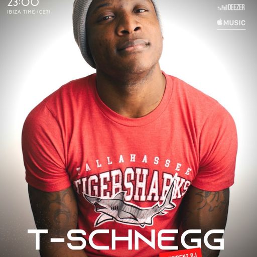 T-Schnegg	I Love House Muisc