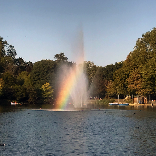 Spectrums with Cosmo Sofi // 12-10-20