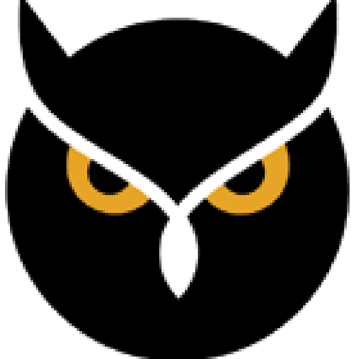 Night Owl Outlook Festival Mix