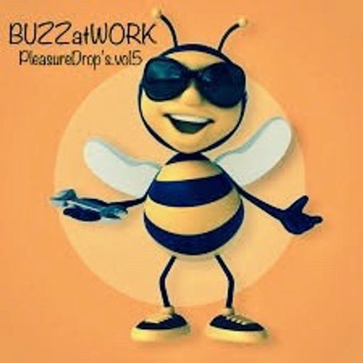 BUZZatWORK (PleasureDrop's.vol5)