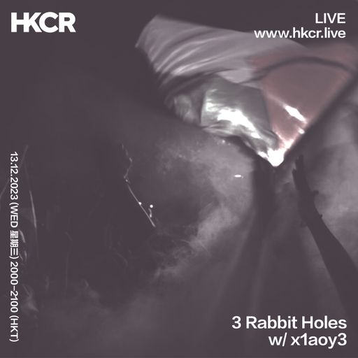3 Rabbit Holes with x1aoy3 - 13/12/2023