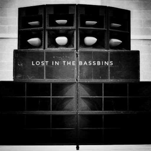 Lost in the Bassbins Jan18