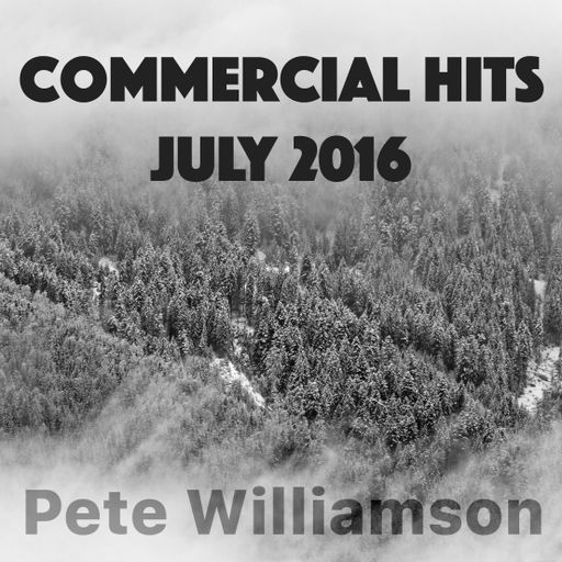 Commercial Hits - July 2016