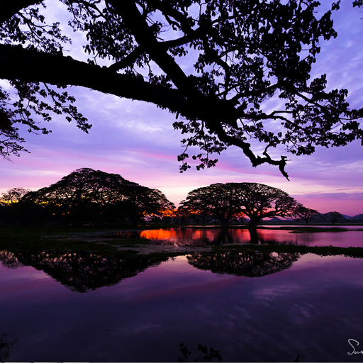 Dream Garden (Chillout)