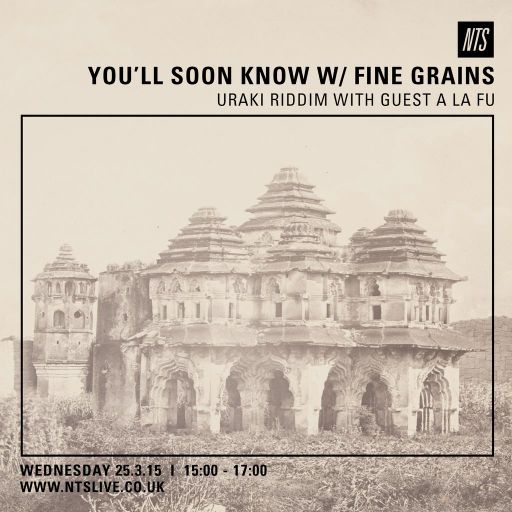 NTS 25/3/2015 w/ Fine Grains