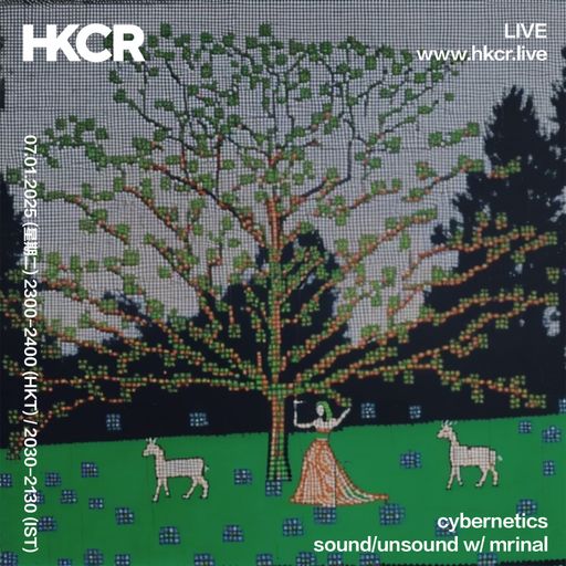 cybernetics: sound/ unsound w/ mrinal - 07/01/2025