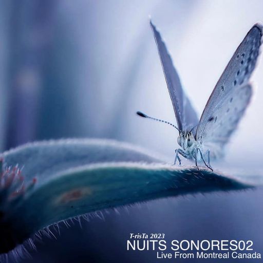 T-risTa's NUITS SONORES///02 2023 @ Live from Montreal, Canada