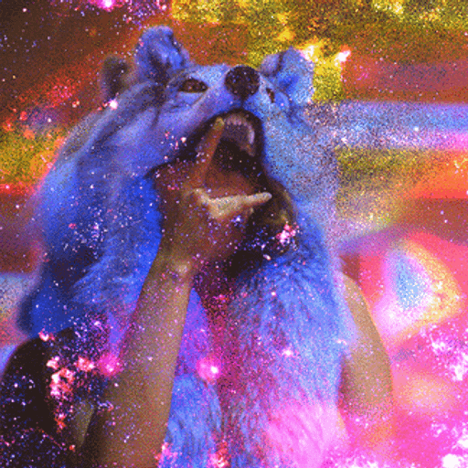 Hoxton Movies with Alma Har'el