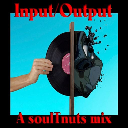 Input Output