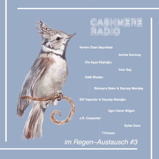 Cashmere Guest Mixes im Regen–Austausch #3 22.04.2024