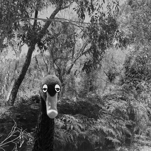 Cashmere Specials RTM x Cashmere Exchange - North of The River Swan 12.02.2023
