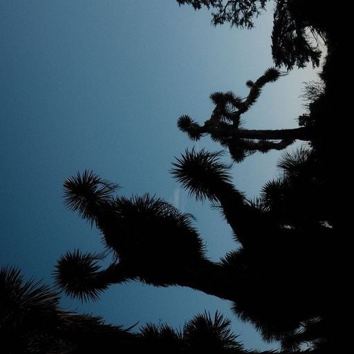 Test Pressing - 7th February 2026