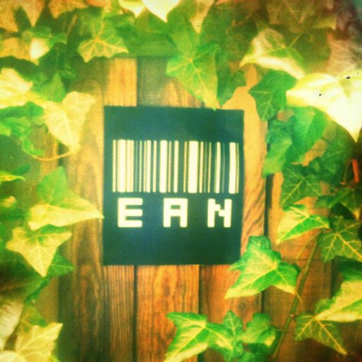 SR Mix #138: EAN