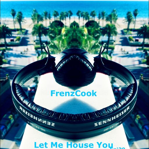 Let Me House You (Jan 2020 Epi29)