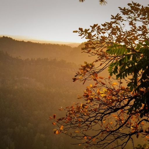 Autumn Dance - A Sunday Joint by Andi (from the Leipzig tribe of peace)
