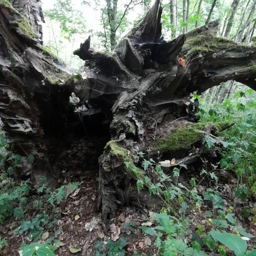 Underground Vibes 11. Juni 2023