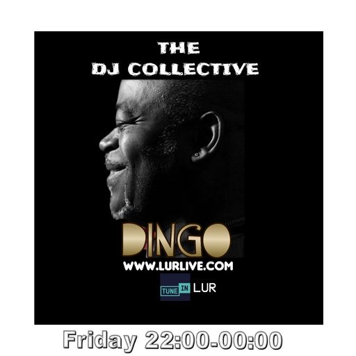 Dingo - DJ Collective-Mid Week Special-October 2022