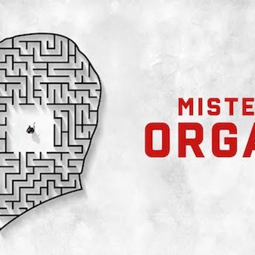 "Mister Organ": David Farrier on Breakfast - 10/11/2022