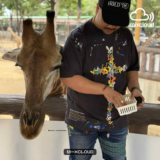 บังกิฟ ไม่เคยขัดจัดให้ตลอด