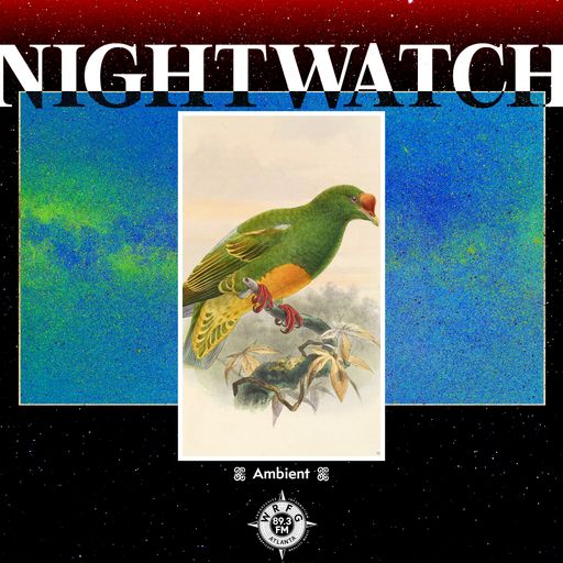 Night Watch: Ambient with Elijah - 21 May 2026