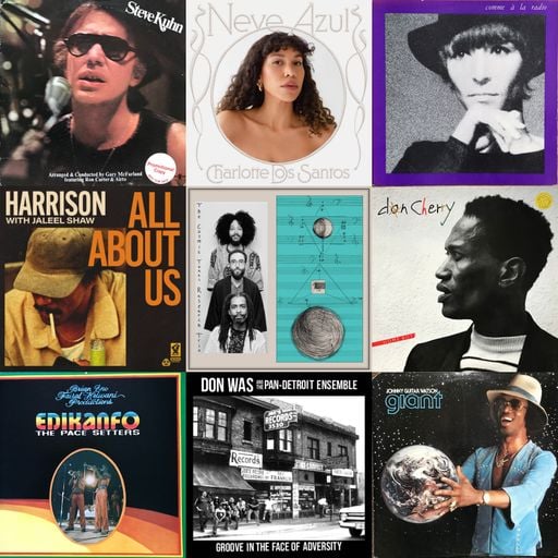 Mind Fluid – Kev Beadle ~ 31.10.25