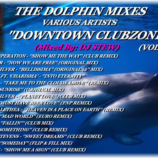 THE DOLPHIN MIXES - VARIOUS ARTISTS - ''DOWNTOWN CLUBZONE'' (VOLUME 6)