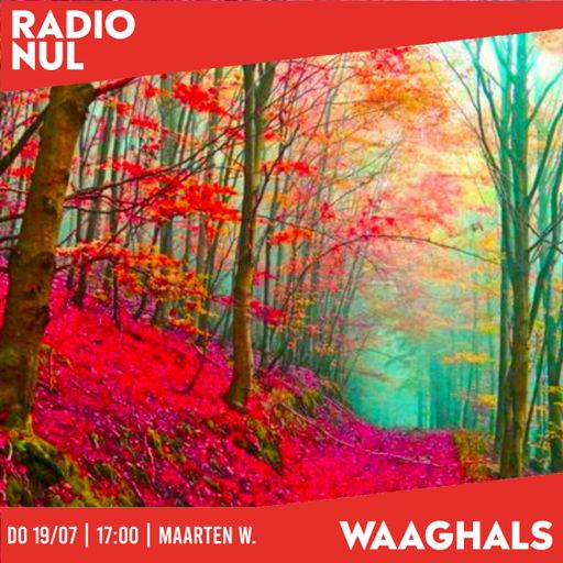 Maarten W. "Psychotropic Panoramas III: Neo-Psych, Space Age & Psych Pop" - Waaghals / 19-06-2025