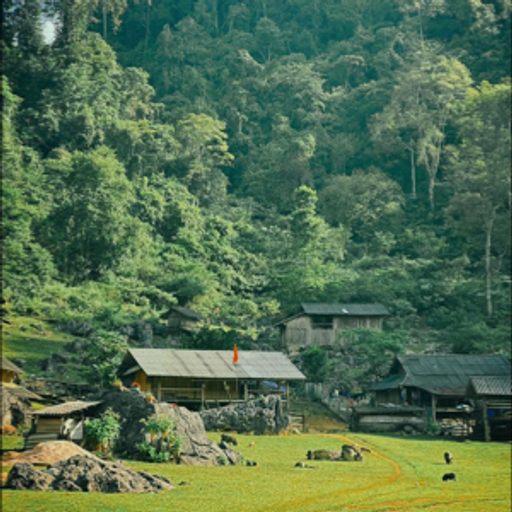 DÂN CA & BOLERO V1 MADE IN I AM GOX