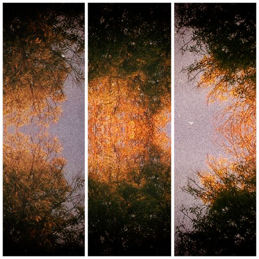 The Power of Memory by Altus