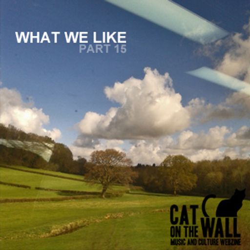 What We Like Part 15