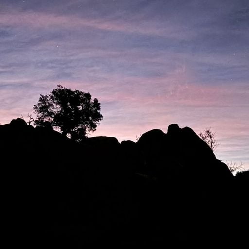 Luke Mele - 17th December 2025